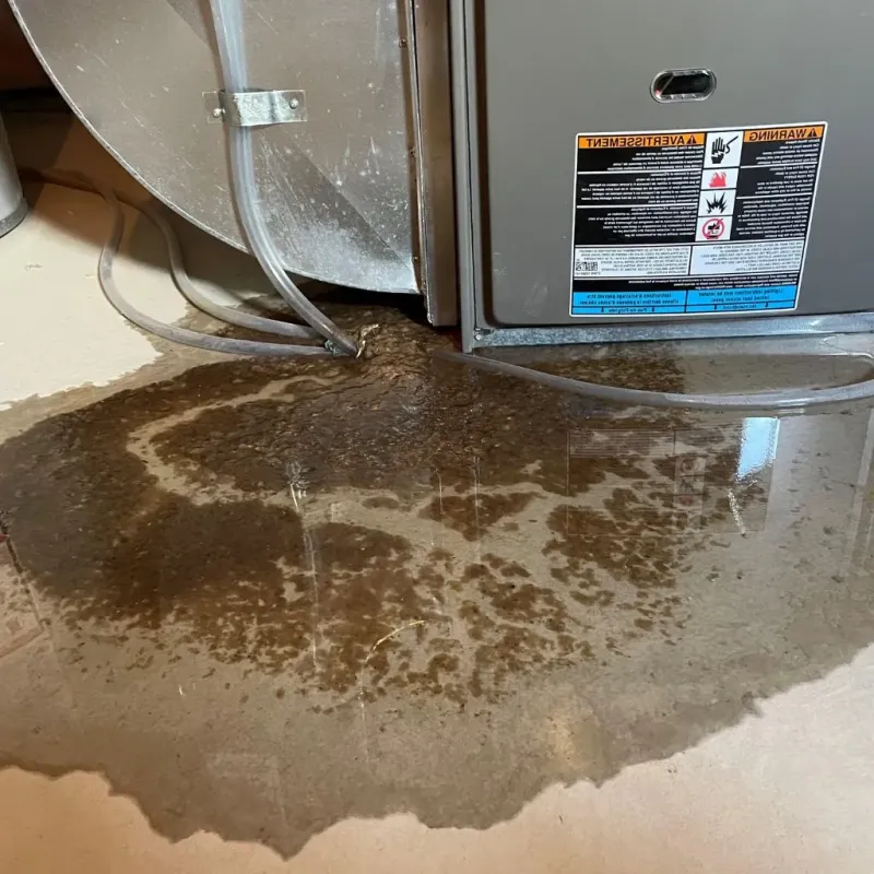 Pipe Burst and Leak Restoration in New City, NY