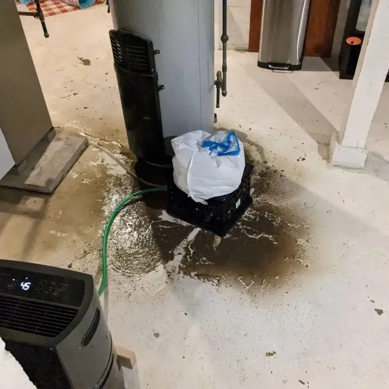Sewage Backup Cleanup Service in New City, NY